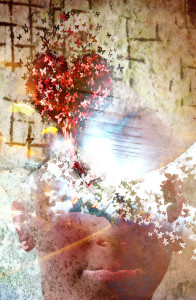 Butterflies #fil15 Butterflies #fil15