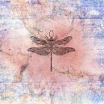 dragonfly-2