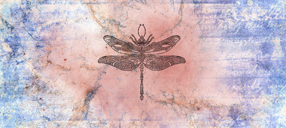 dragonfly-2